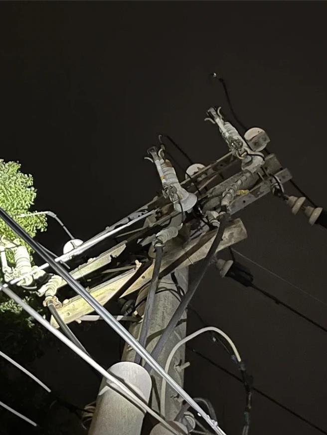 電桿下方疑似發現燒焦的松鼠屍體。（台電公司苗栗區營業處提供／李京昇苗栗傳真）