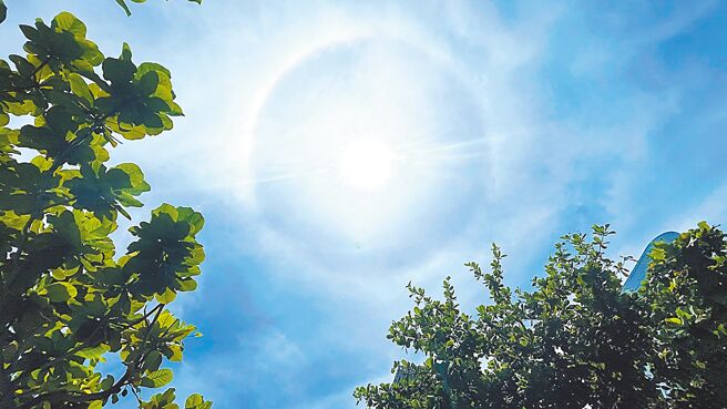 台東市15日出現「日暈」。（蕭嘉蕙攝）