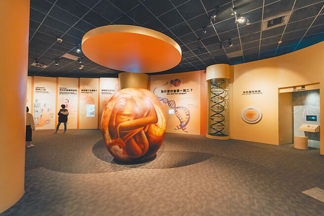 有網友爆料，科博館生命科學廳展區傳出色狼偷拍女童事件，科博館15日說明，將加強館內巡警，主動積極巡視展場狀況，防範展場發生不當安全事件；據了解，警方已鎖定特定嫌犯，正追查、釐清案情。（科博館提供／陳淑芬台中傳真）