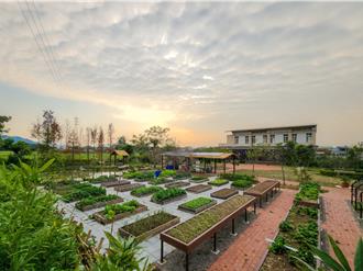 客庄迷人香草香！公館仁安社區打造綠療空間 獲建築園冶獎