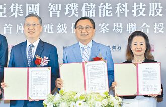 大亞集團 打造輸電儲能案場