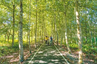 儲存二氧化碳倉庫