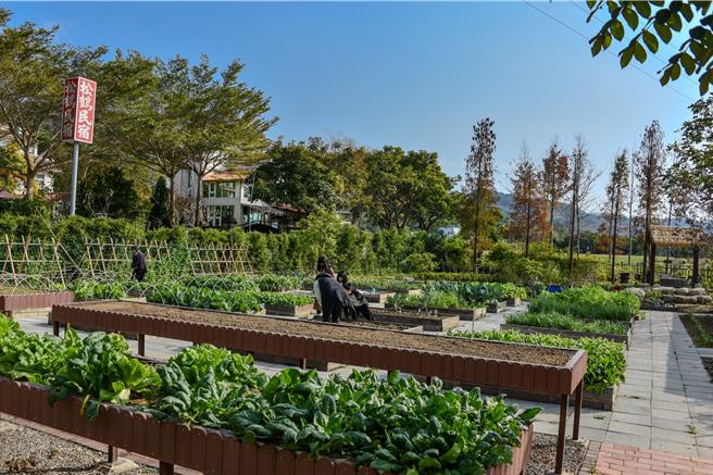 可供轮椅族使用的高架菜圃。（水保署提供／李京升苗栗传真）