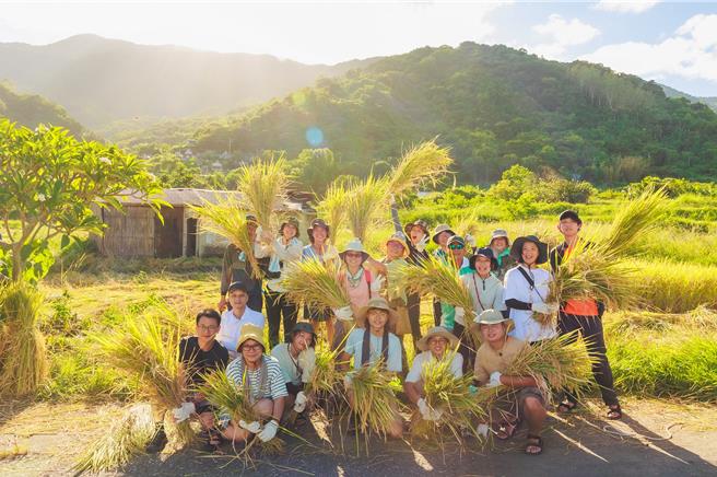 受邀艺术家创作者来到新社部落体验收割稻谷。（林保署花莲分署提供／王志伟花莲传真）