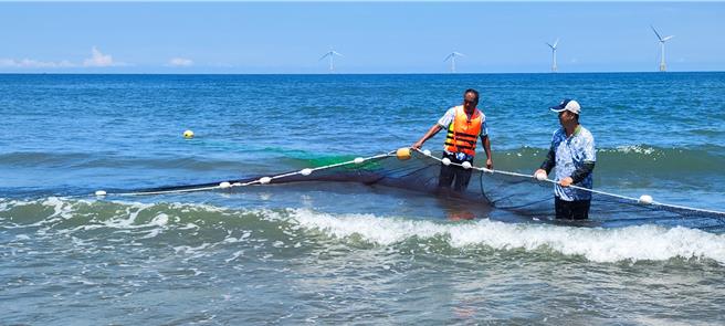 2024年后龙镇水尾社区百人牵罟活动日前在水尾沙滩登场，罟网即将拉回滩岸。（谢明俊摄）