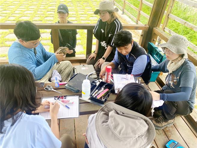 嘉大師生組成研究團隊，與韓國兩所大學師生在韓國北部接近南北韓非軍事區的京畿道漣川郡繫放25隻赤腹鷹、13隻灰面鵟鷹。（嘉大提供／呂妍庭嘉義傳真）