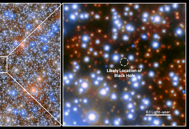 2024年7月10日，哈伯太空望远镜 在半人马座ω中发现中等质量黑洞的证据。（ESA/Hubble, NASA, Maximilian Häberle (MPIA)）