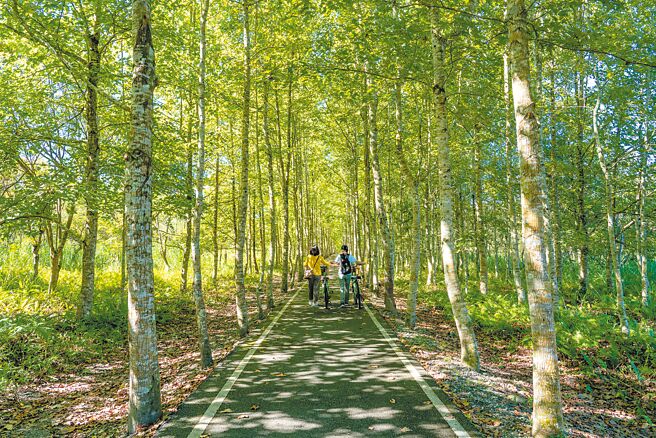 图为台糖造林的大农大富平地森林园区。(台糖提供)