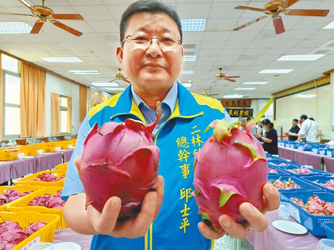 二林镇农会总干事邱士平分享从火龙果叶片分辨红白肉。（叶静美摄）