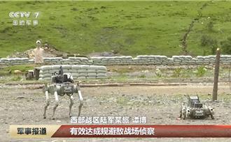 美歐密集宣示AI軍事化動向  陸專家指相關動態值得高度關注