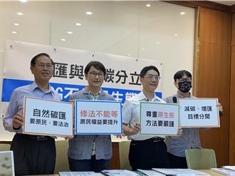 紅樹林植林方法學審查中 專家籲暫緩：恐破壞生態