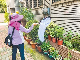 台南境外移入登革熱＋1 4型病毒都有