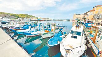 漁港釣魚宣傳不足 議員憂效益打折