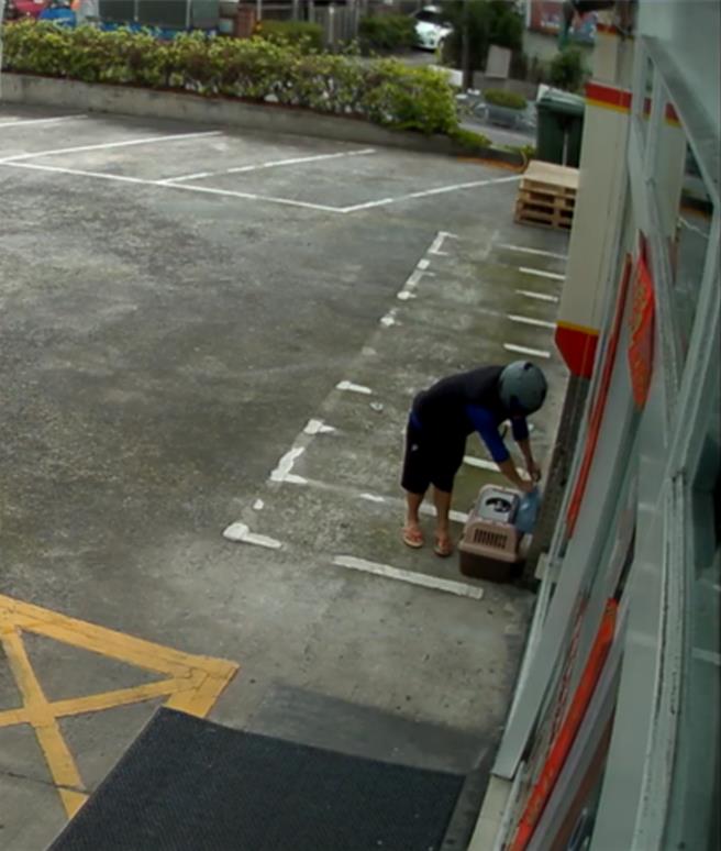 行为人将猫只置入箱笼弃置卖场门口。（新北市动保处提供）
