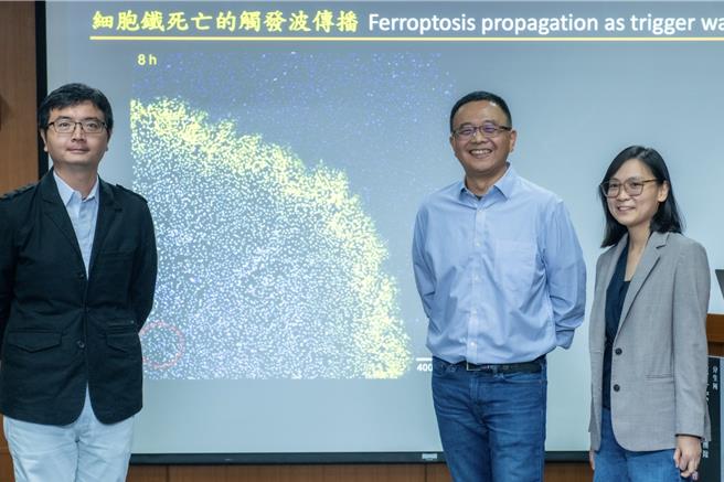 中研院分子生物研究所研究团队合影。（中研院提供）