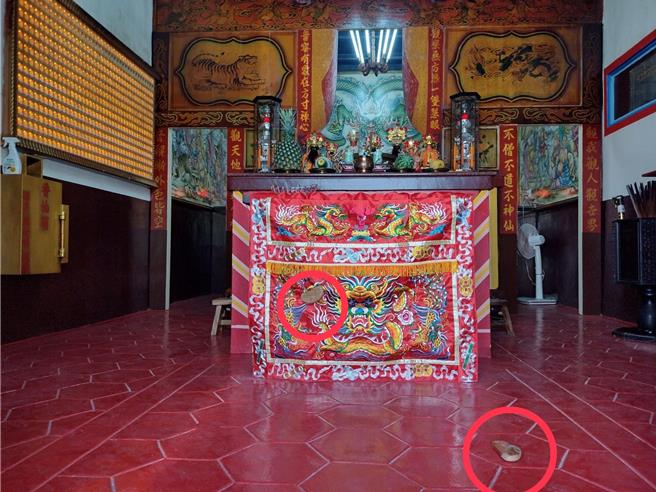 彰化市南安寺寺方人員17日擲筊請示慶典事宜，其中1個筊杯落地彈跳後，不偏不倚彈至神桌的龍紋桌裙卡住，消息傳開後信眾嘖嘖稱奇。（翻攝彰化南安寺臉書／孫英哲彰化傳真）