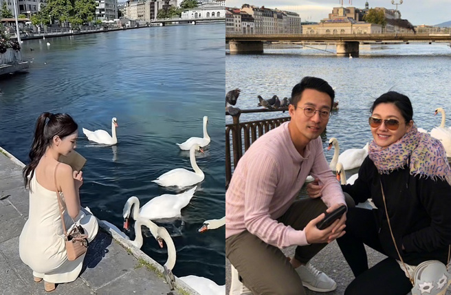 汪小菲帶Mandy去瑞士度蜜月餵天鵝（左）。（圖／汪小菲 抖音、微博）