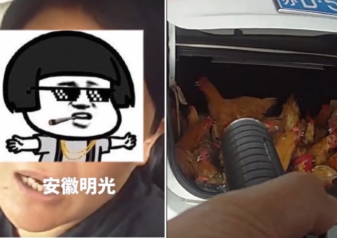 警察拦下这辆车，驾驶一脸莫名其妙，结果后车厢打开，全部都是活鸡。（图／翻摄微博）