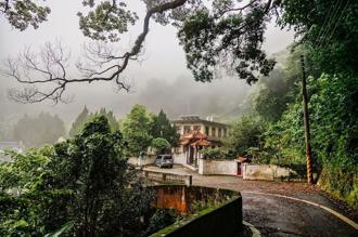 「森遊竹縣皮皮獅Hike客任務」開跑！闔家健走、避暑拿好康