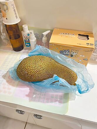 基隆 社區彌漫瓦斯味 報案揪出榴槤蜜