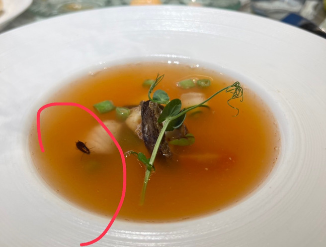 北市一家知名鐵板燒因執行清潔消毒，導致蟑螂亂竄，海鮮湯裡出現屍體。（讀者L小姐提供）