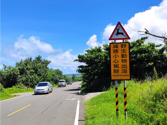 墾丁國家公園內有許多留意野生動物警告標誌，提醒民眾行車小心。（羅琦文攝）