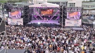 台南將軍吼登場湧5萬人 燈光煙火秀點亮漁港夜空