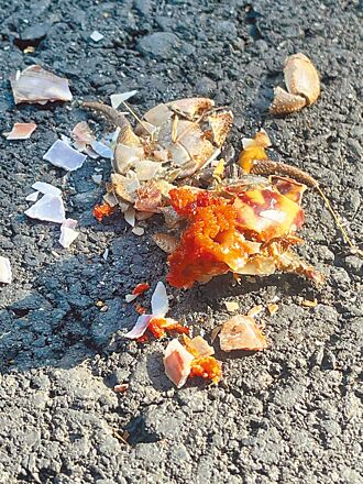 繁殖季逢遊客潮 陸蟹陷路殺危機