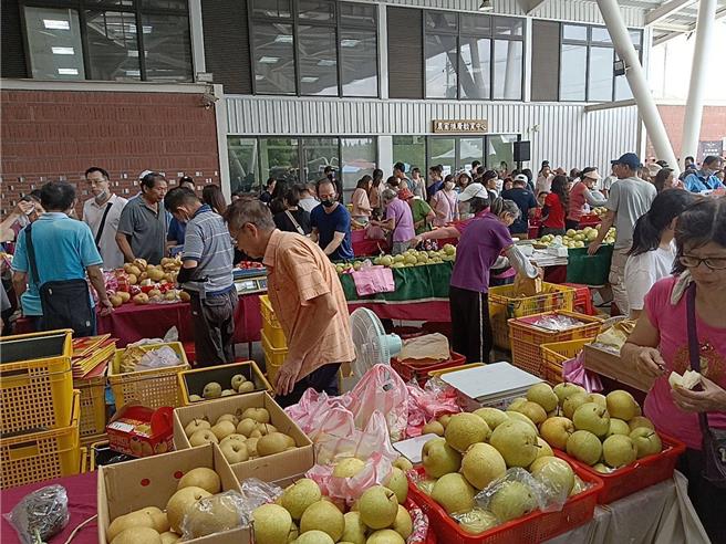 「2024新埔水梨節暨農產品行銷活動」熱情開跑，20日在新埔鎮農會農業推廣教育中心舉行開幕典禮。（邱立雅攝）