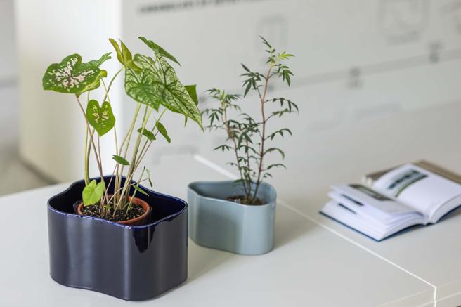 Artek Space展出Alvar Aalto另一半Aino Aalto设计的波浪曲线花器Riihitie Plant。(灰 & 蓝、小)定价2900元、(蓝、中)定价4400元、(蓝、大)定价6300元。（北欧橱窗提供）