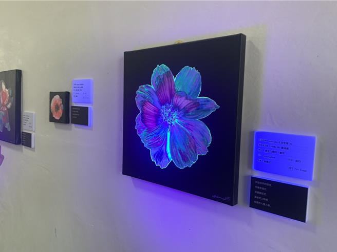 由財團法人基隆市文化基金會主辦「粉紅夏日藝術季」，邀請國內多位藝術家創作以粉紅為主題作品。（徐佑昇攝）