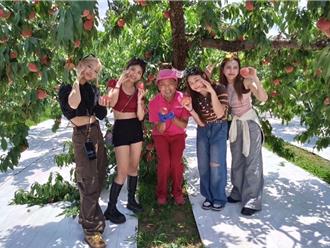 女團成軍3個月傳好消息　擔任日本觀光大使獻愛「心納家庭」