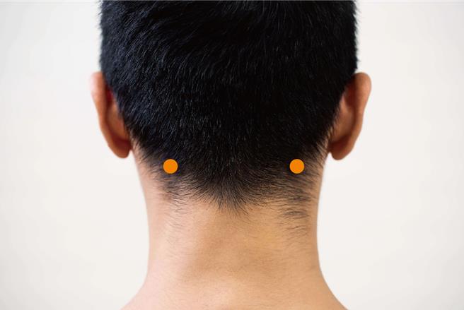 风池穴。（马光中医提供／杨舒婷高雄传真）