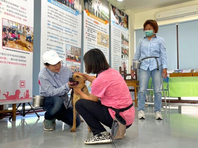 高雄市動保處開辦「犬隻訓練營」課程，讓飼主認識家中毛小孩，（圖片來源：高雄市農業局提供）