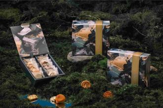 大咖助陣！深法「月夜印象」頂級禮盒飄藝伎香