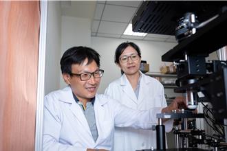 神经细胞也会「揪团组队」 阳明交大新发现脑神经群体动态