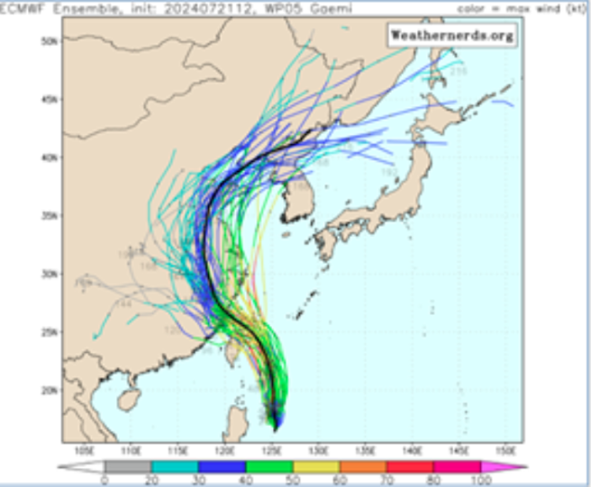最新（21日20時）歐洲模式（ECMWF）50次系集模擬圖顯示，「凱米」未來路徑有不確定性，若是偏在系集平均（粗黑線）的左側，則威脅加劇，反之則減輕。（翻攝自三立準氣象.老大洩天機）