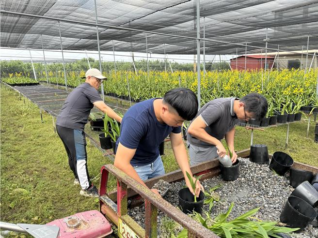 台中市青年从农培训班22日开训，学员必须到农场实务见习。（台中市政府农业局提供／陈淑娥台中传真）