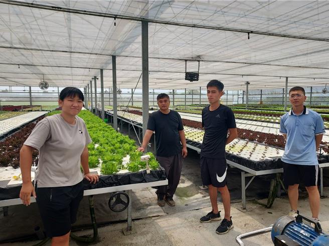 台中市青年从农培训班22日开训，学员必须到农场实务见习。（台中市政府农业局提供／陈淑娥台中传真）