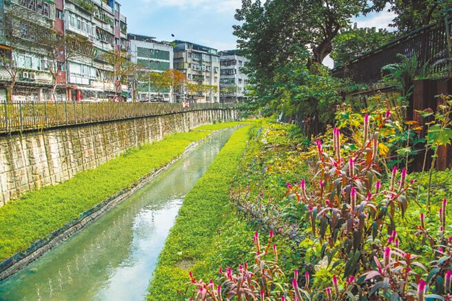 新北市水利局大力整治瓦磘沟，除臭味的问题获得改善，也已逐步回復原有生态。（新北市水利局提供／王扬杰新北传真）