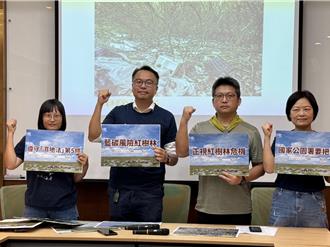 環團籲政府勿誇大紅樹林藍碳功能 環境部：留意增匯與生態關聯