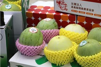 青年返鄉從農新機遇 嘉義縣「一季園主」培訓課程啟動