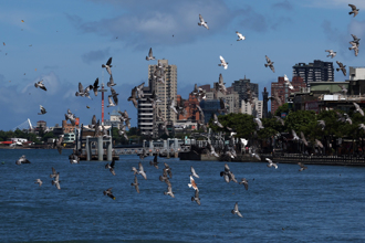 凱米路徑再偏西 北部可連放2天颱風假？氣象主播給答案