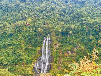 烏來塞車 議員促交管、設專車