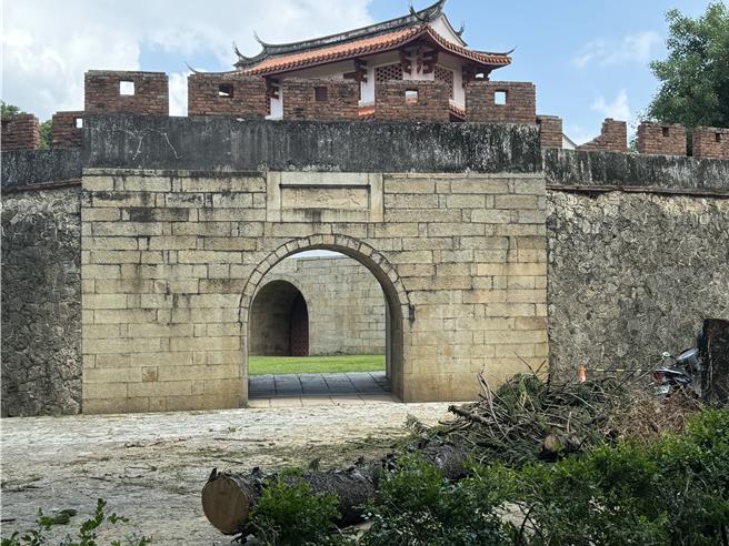 工务局于大南门城修剪移除染病的南洋杉时，不慎压坏城墙的雉堞。（曹婷婷摄）