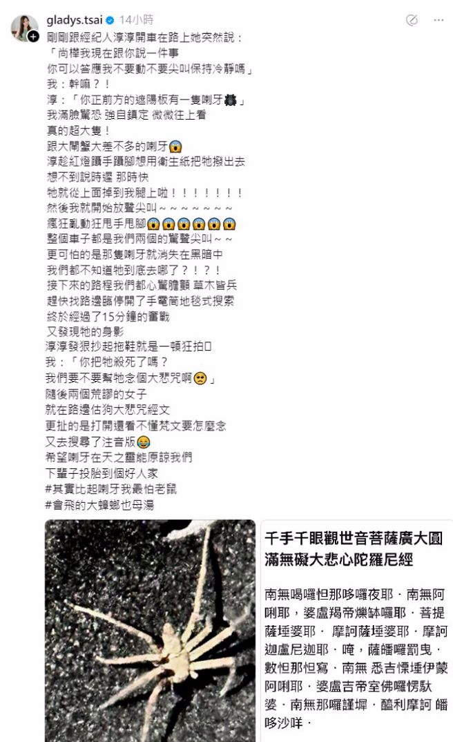 蔡尚桦开车开到一半看到蜘蛛，甚至一度掉到自己腿上。（图／翻摄自蔡尚桦Threads） 