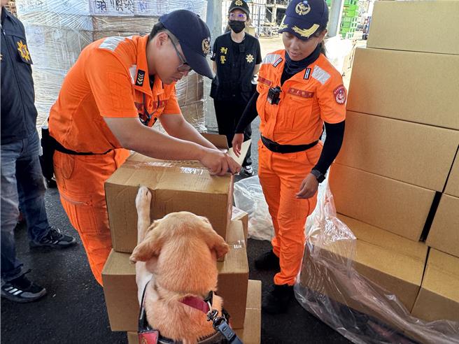 金門加強緝毒，現階段已擴大至金門料羅港區內，針對到、離港之包裹、超商店到店及郵局等貨物進行緝毒犬偵檢勤務，展現維護金門治安之決心。(于家麒攝)