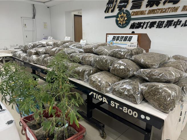 警方查扣大麻成品等赃证物。（洪靖宜摄）