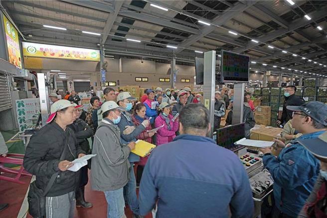中颱凯米来势汹汹，新北果菜市场经理郭荣瑞指出，颱风预期心理加上农民抢收，今（23）日果菜市场成交量多了3成，最怕颱风的叶菜类涨幅最大，平均2.5成至5成左右，水果反而因农民抢收、卖相较弱没有涨价甚至小跌，预计价格回稳要在颱风完全过后。（资料照／新北果菜公司提供）