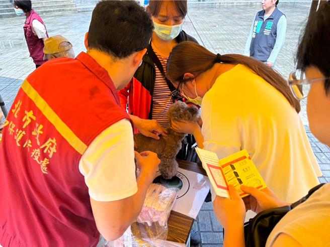 取得飼養寵物認證數位卡，可享有免費每年施打狂犬病疫苗。（新北市動保處提供）